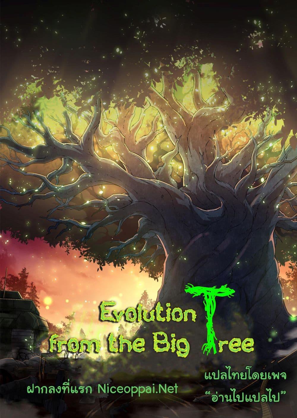 Evolution from the Big Tree 241 01